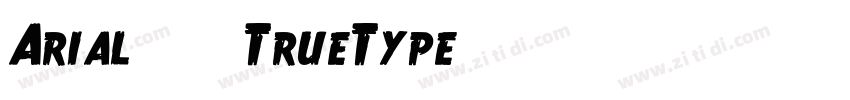Arial 粗体(TrueType)字体转换